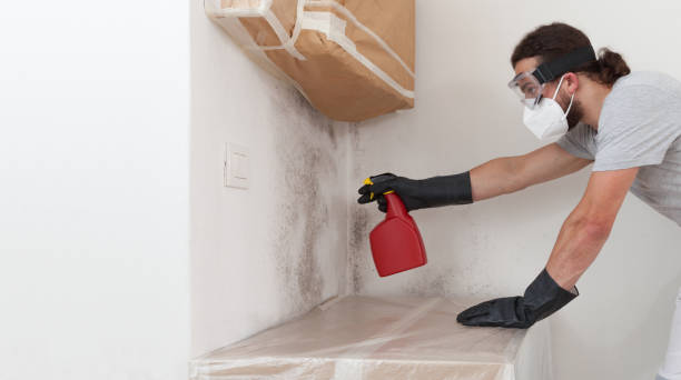 Professional Bathroom Mold Removal technician working in Hughesville, MD