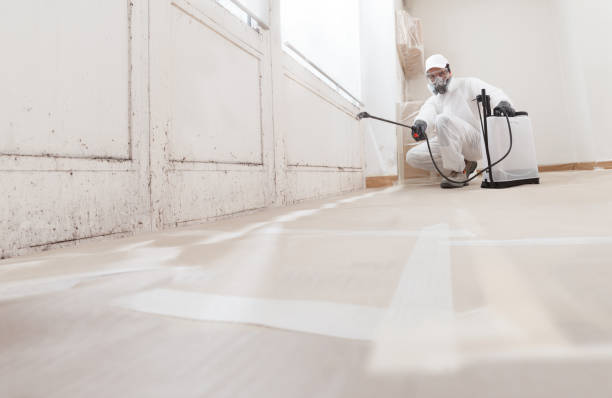 24/7 Emergency Bathroom Mold Removal experts in Hughesville, MD